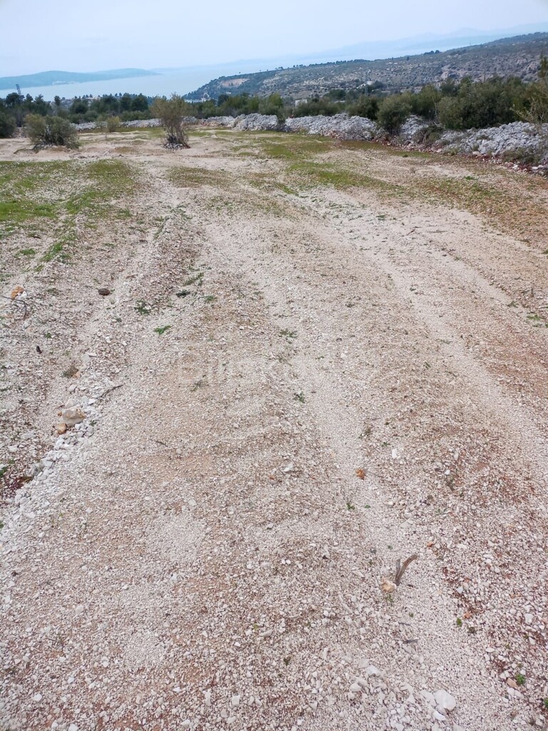 Image 6334068 - 4