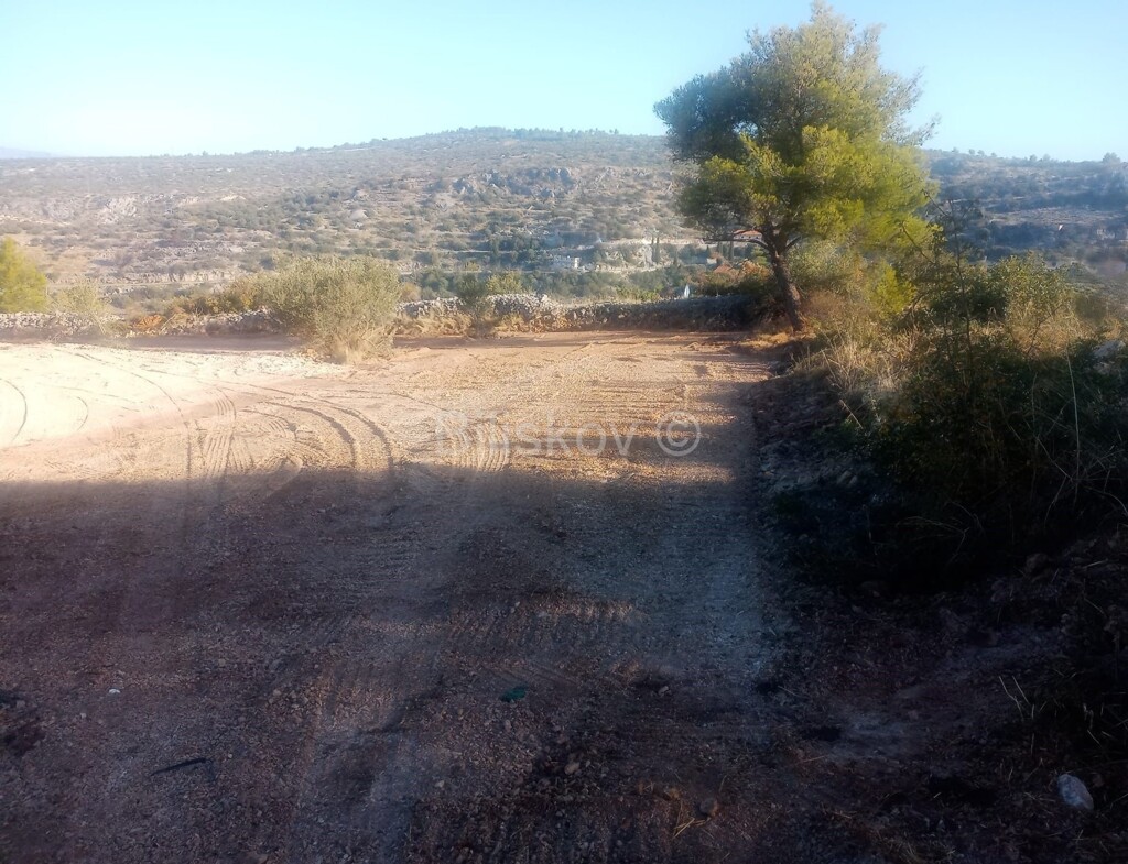 Image 6334068 - 3