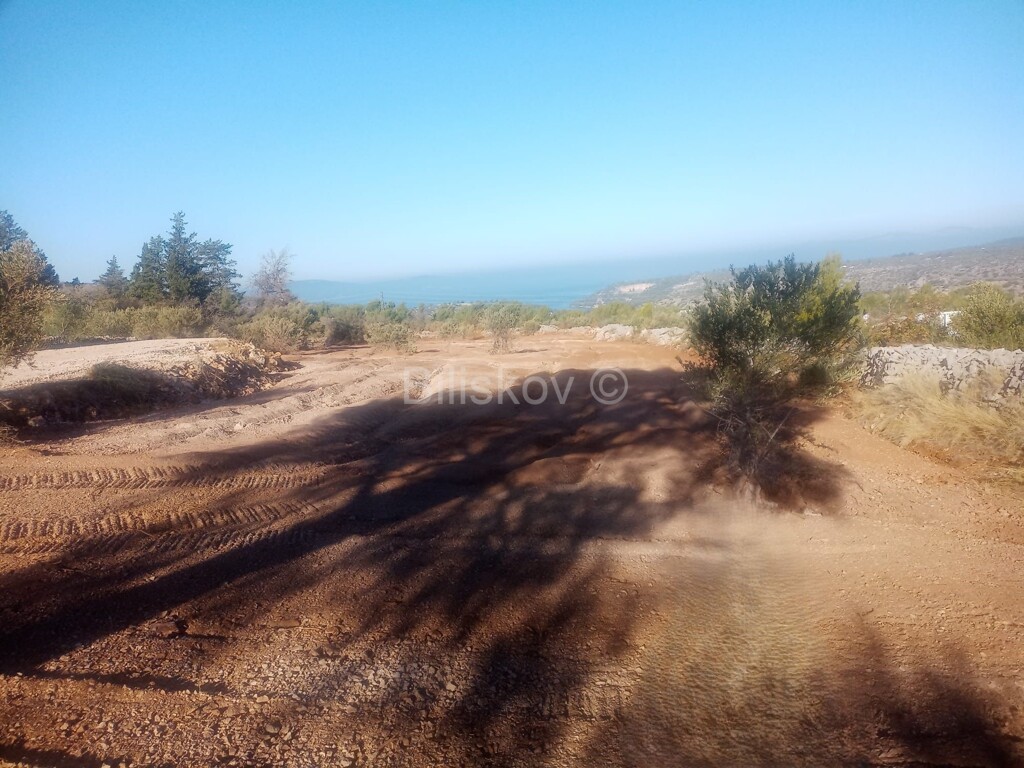 Image 6334068 - 1