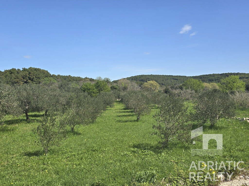 Image 6334079 - 1