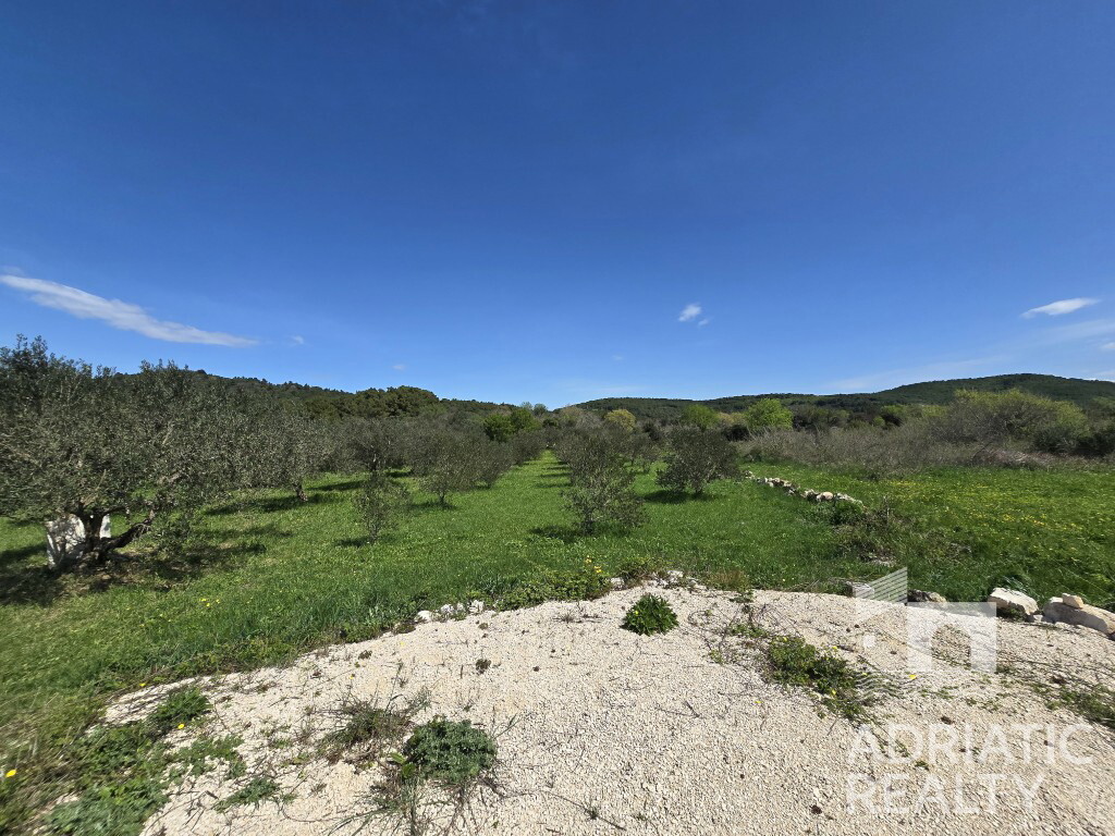 Image 6334079 - 2