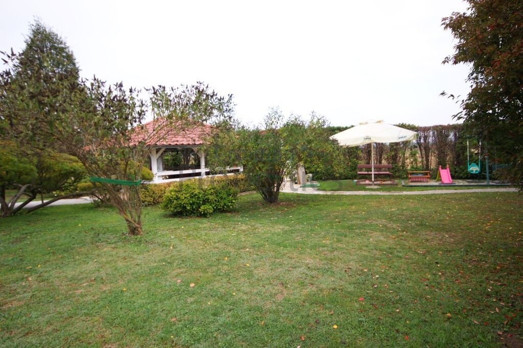 Image 6334100 - 6