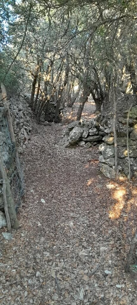 Image 6334149 - 3