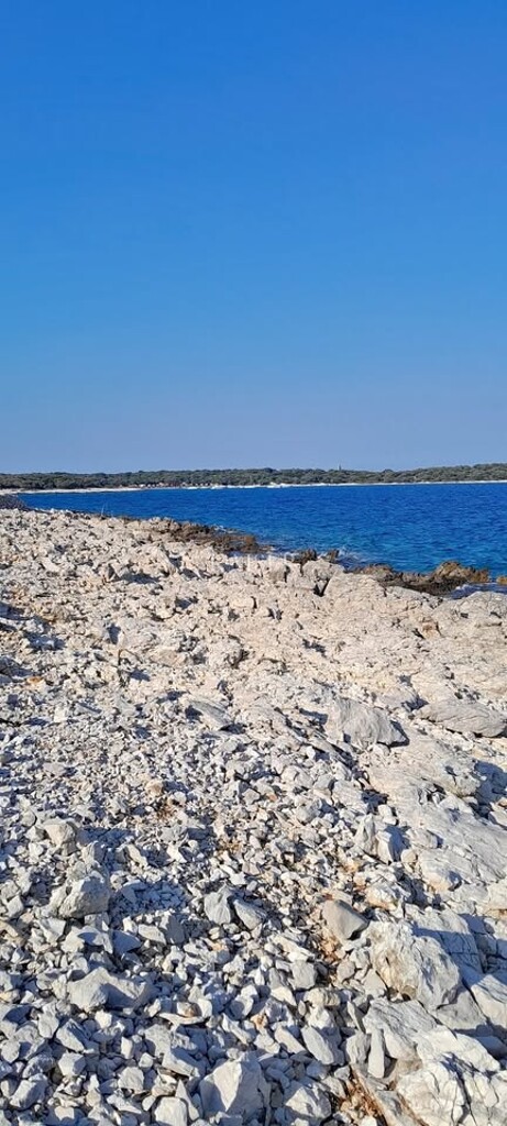 Image 6334149 - 1