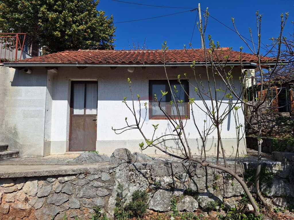 Image 6334188 - 19