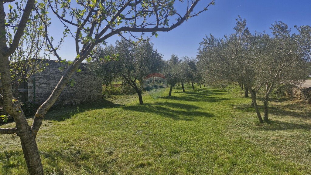 Image 6334190 - 4