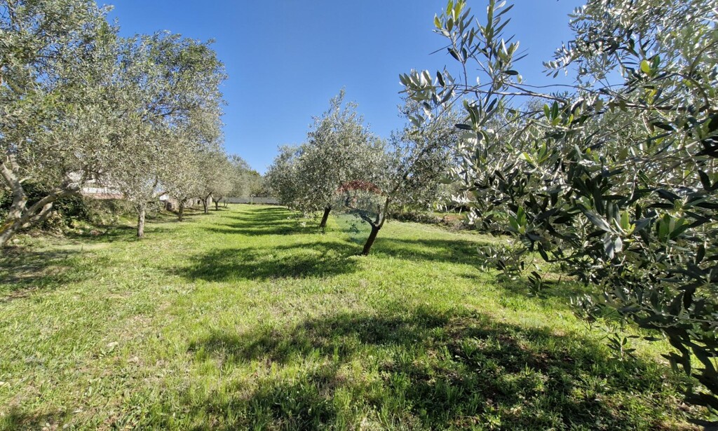 Image 6334190 - 3