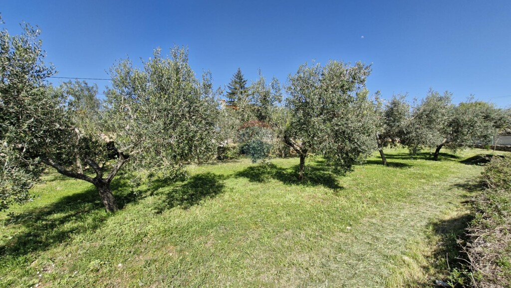 Image 6334190 - 1