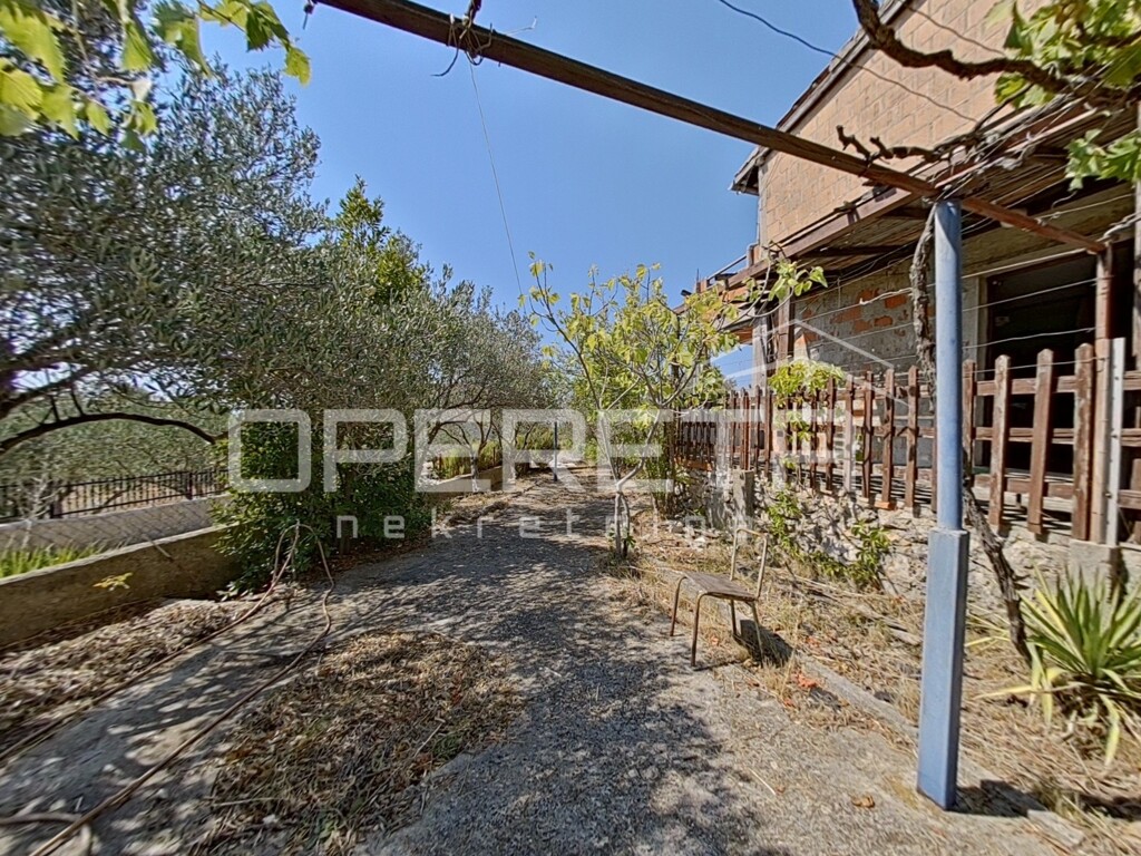 Image 6334770 - 11