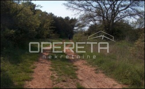 Thumbnail 6334774 - 3