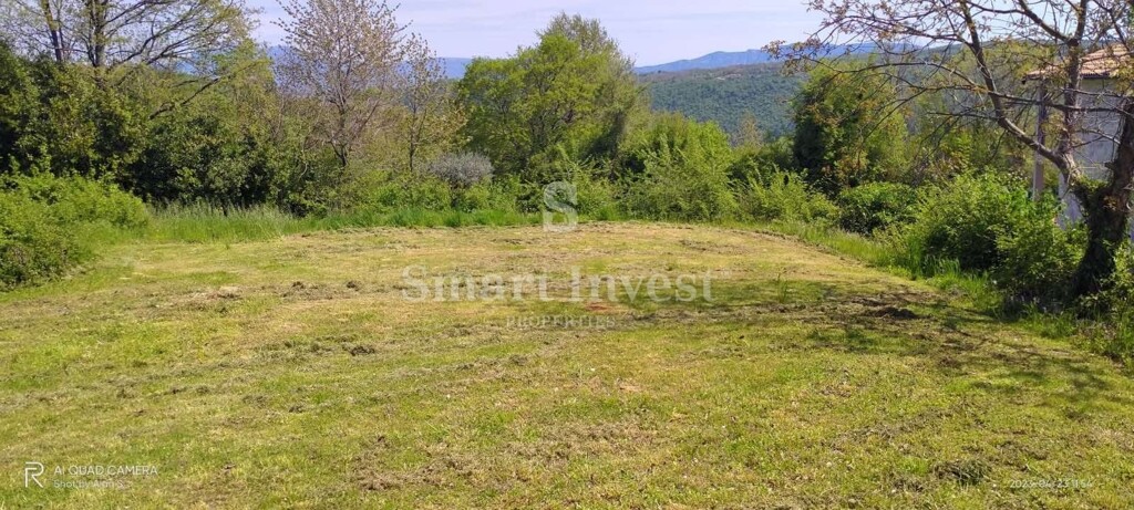 Image 6334778 - 1