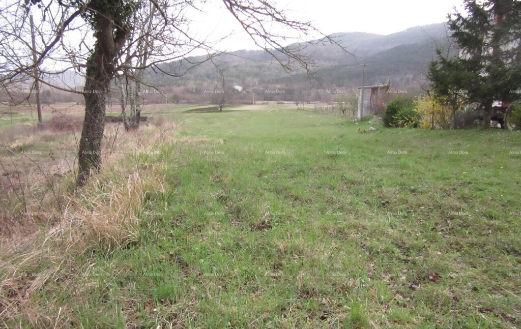 Image 6334793 - 3