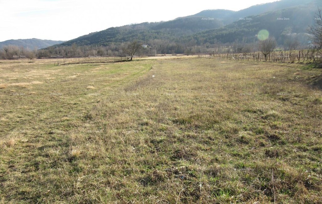 Image 6334793 - 1