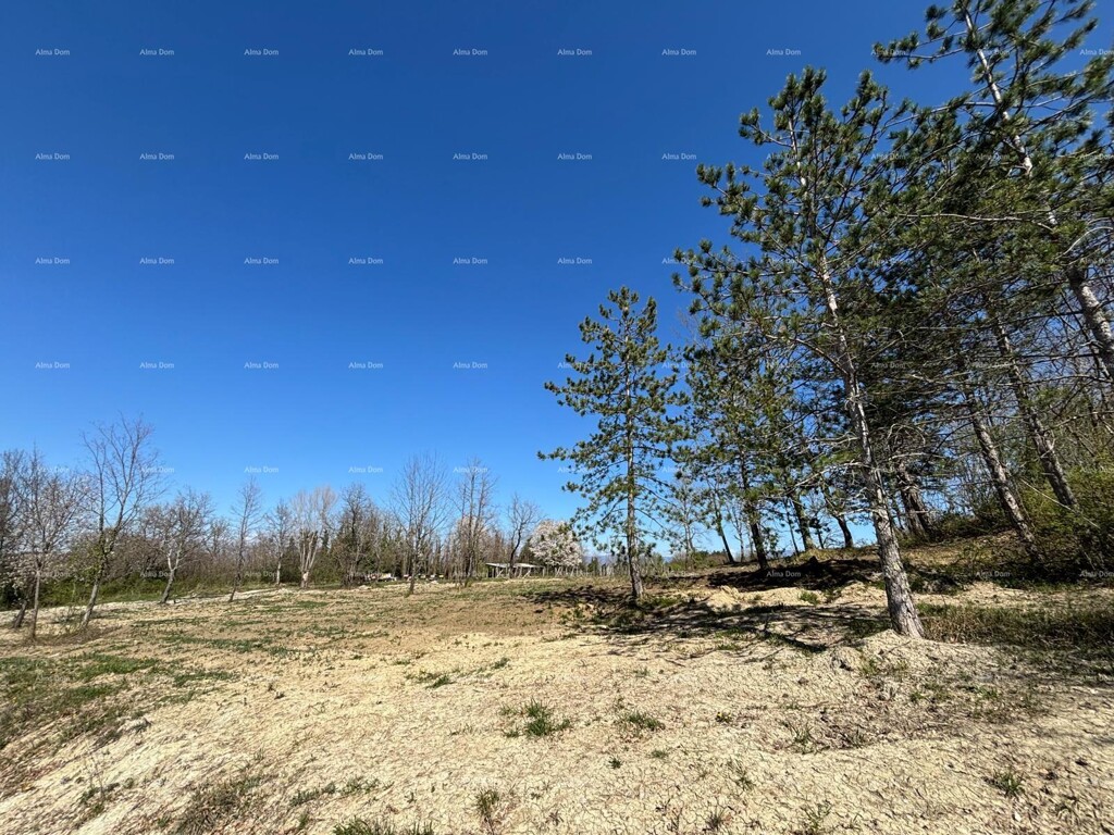 Image 6334794 - 2