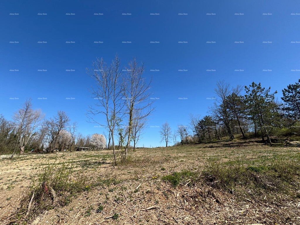 Image 6334794 - 3
