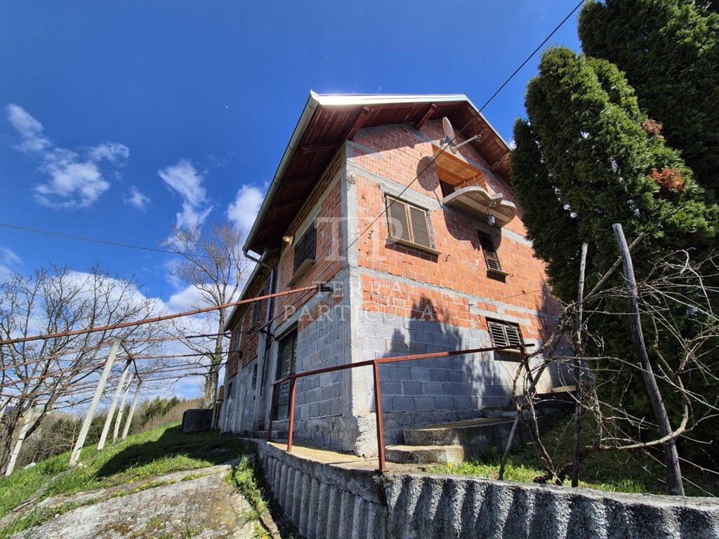 Image 6334877 - 11