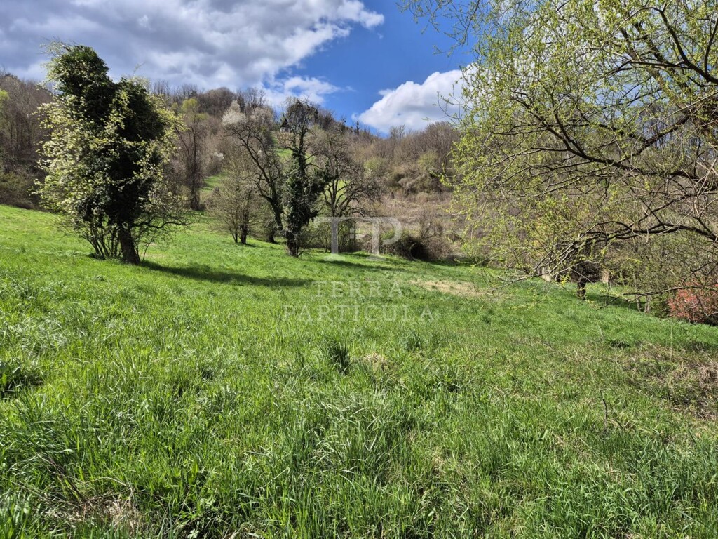 Image 6334878 - 10