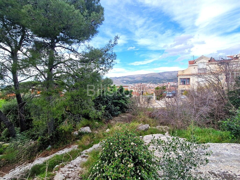 Image 6335002 - 1