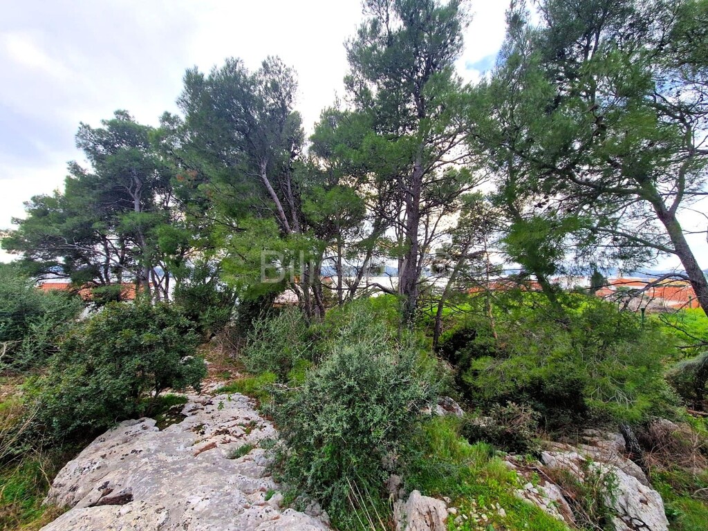 Image 6335002 - 2