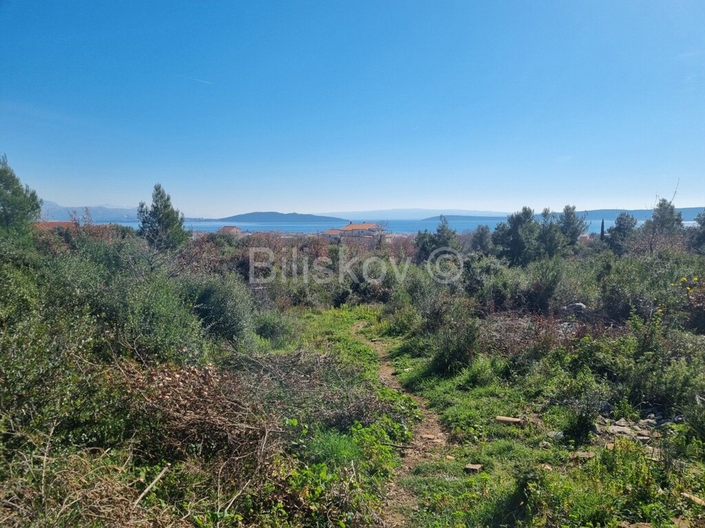 Image 6335003 - 1