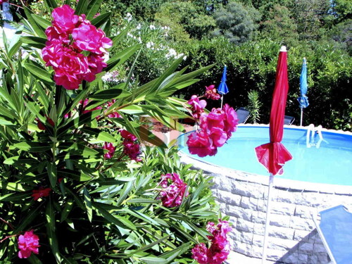 Thumbnail 6335008 - 12