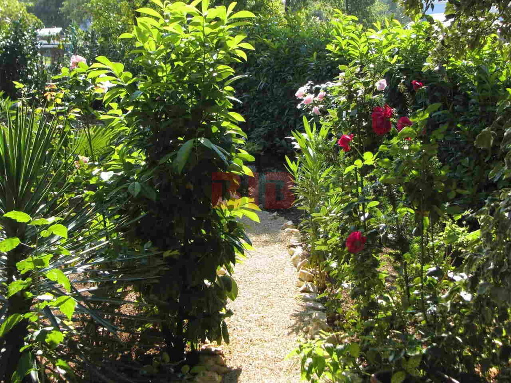 Image 6335008 - 16