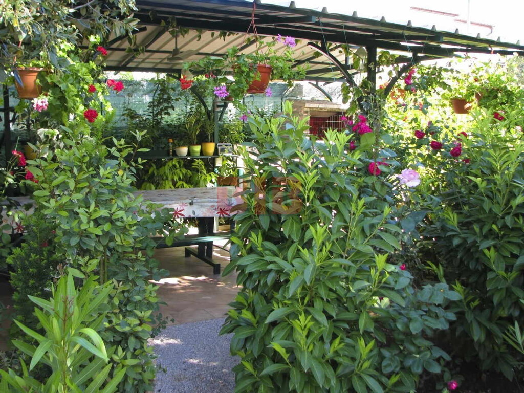 Image 6335008 - 20