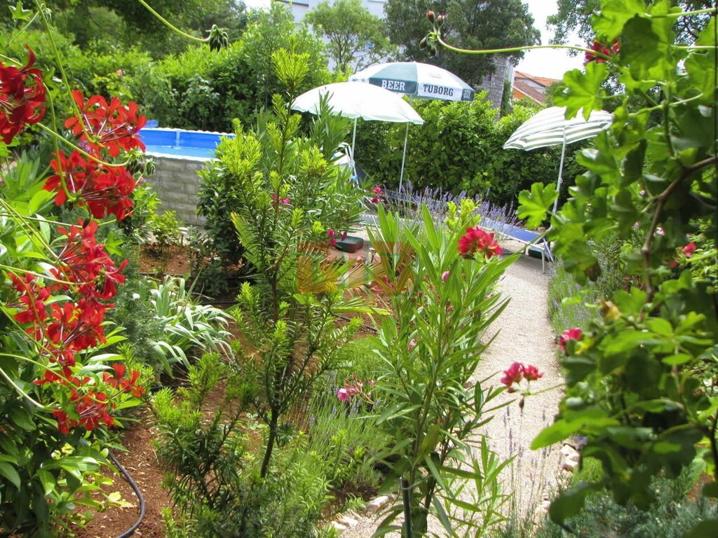 Image 6335008 - 23