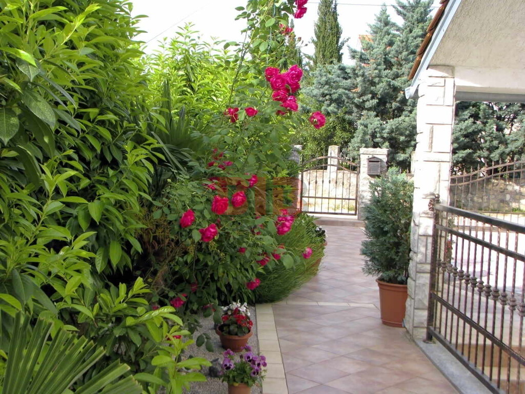 Image 6335008 - 6