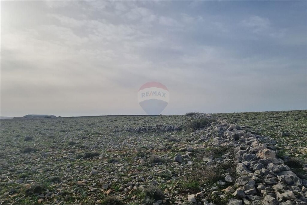 Image 6335036 - 3
