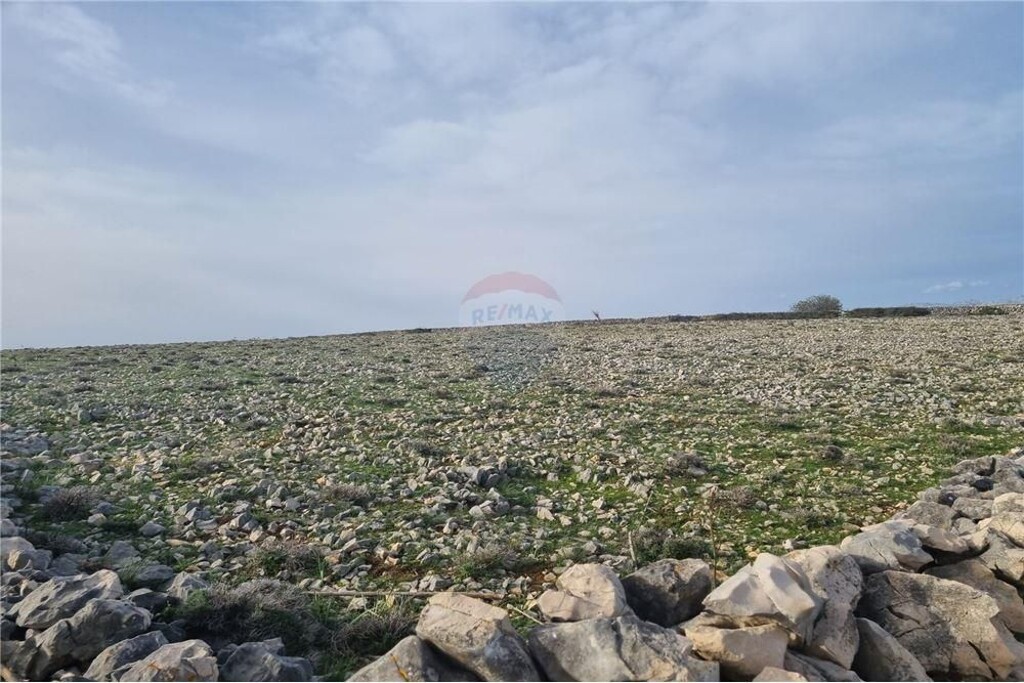Image 6335036 - 4