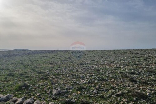 Thumbnail 6335036 - 7