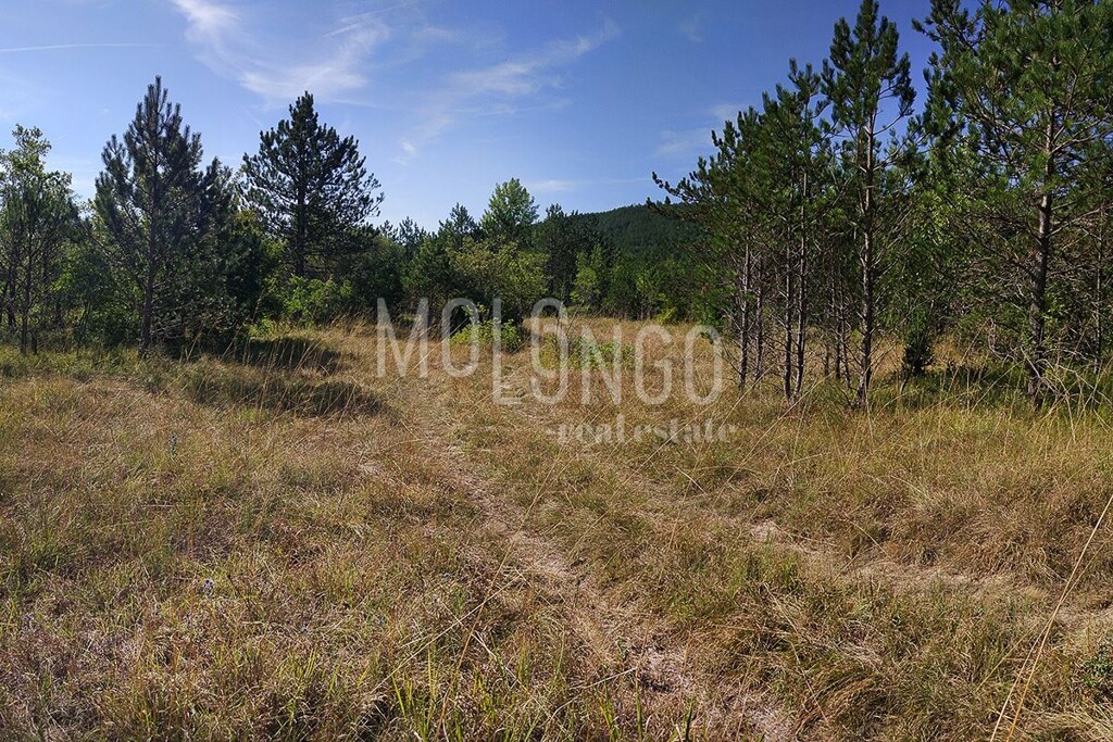 Image 6335116 - 3