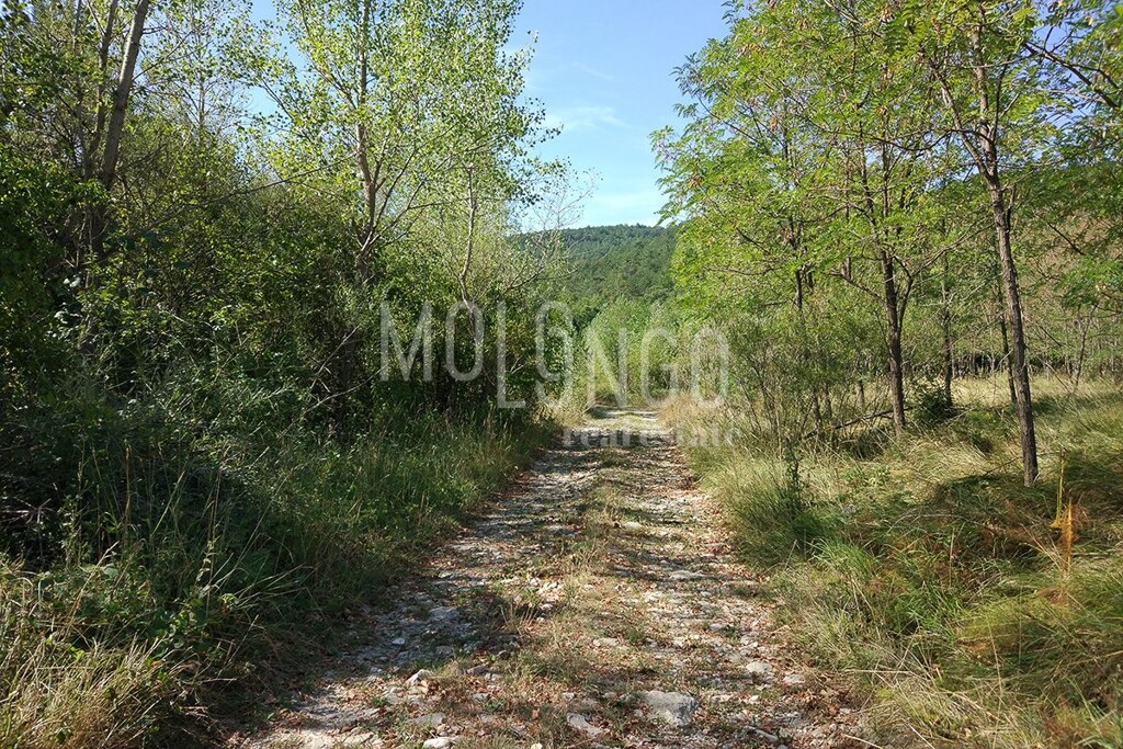 Image 6335116 - 4