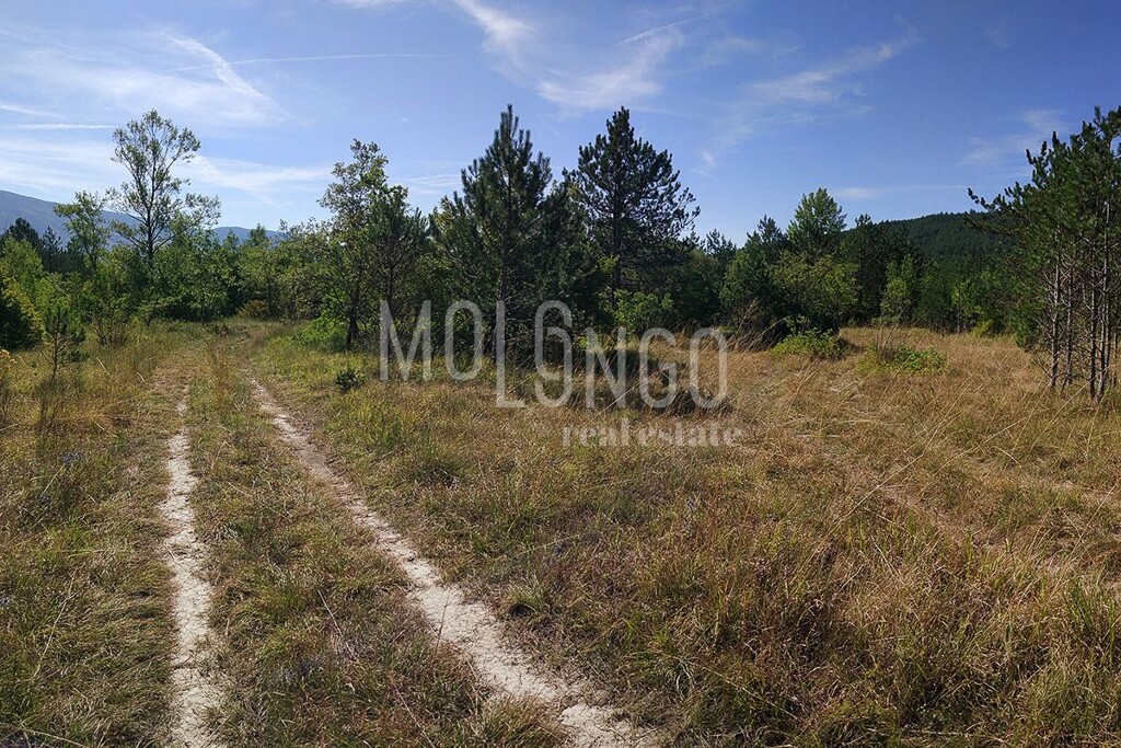 Image 6335116 - 2
