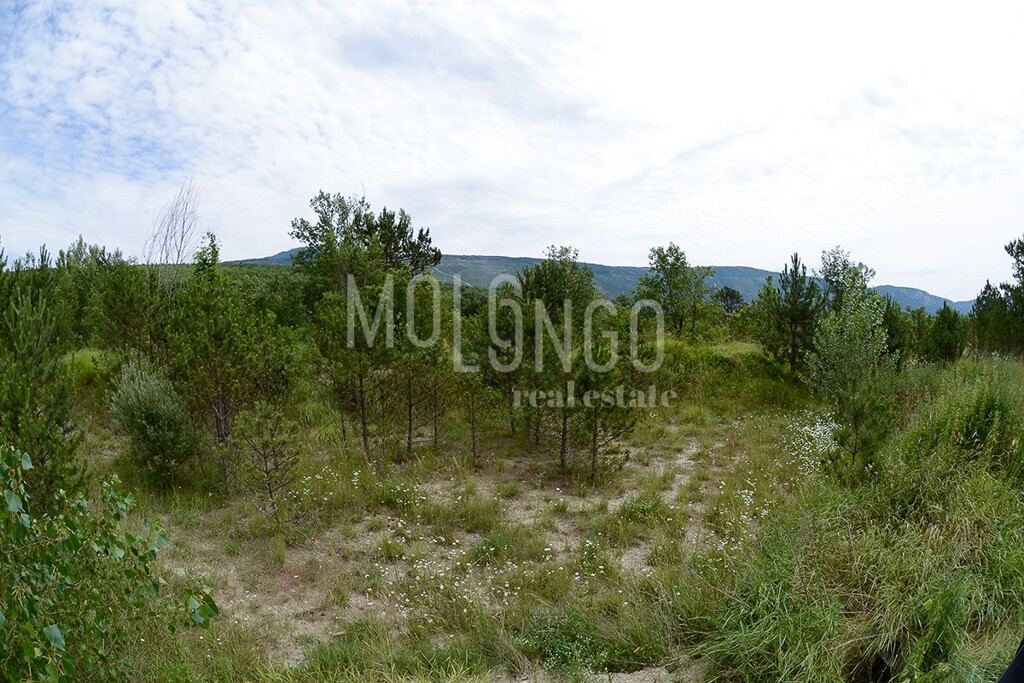 Image 6335116 - 5