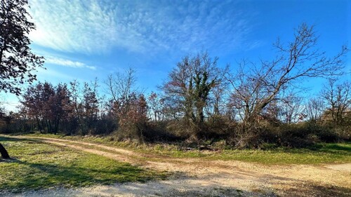 Thumbnail 6335148 - 3