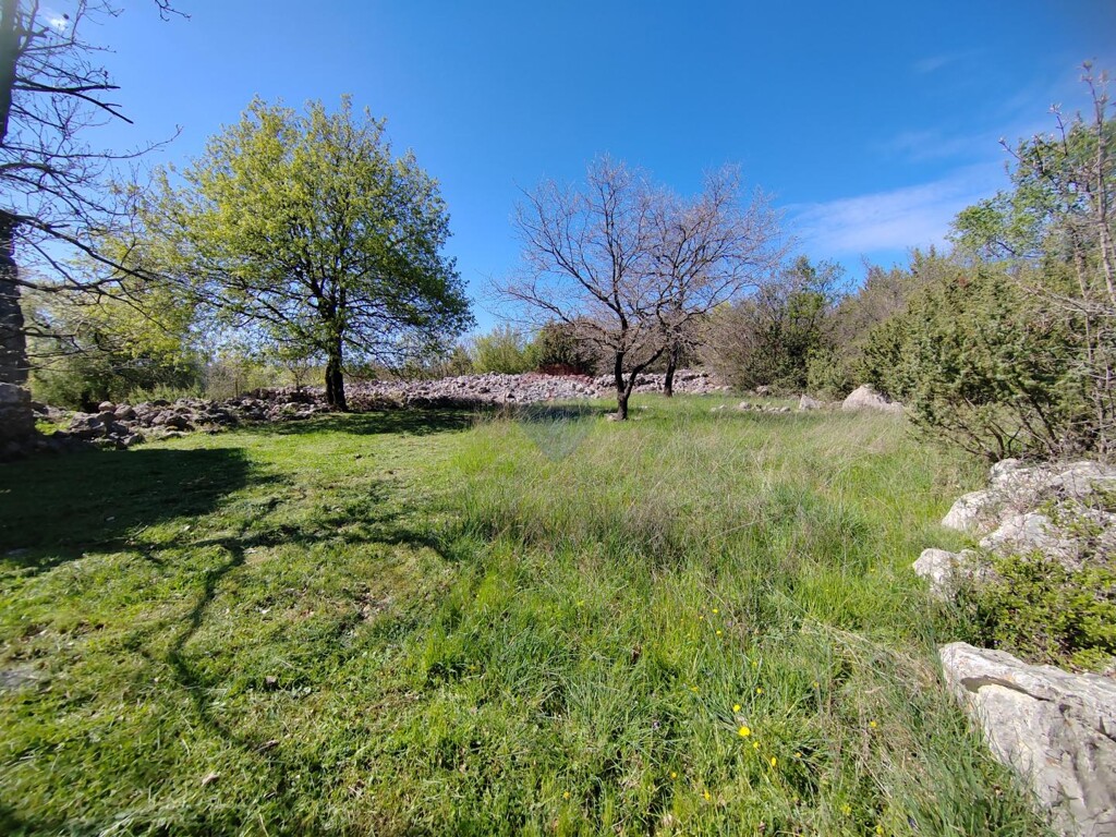 Image 6335153 - 4