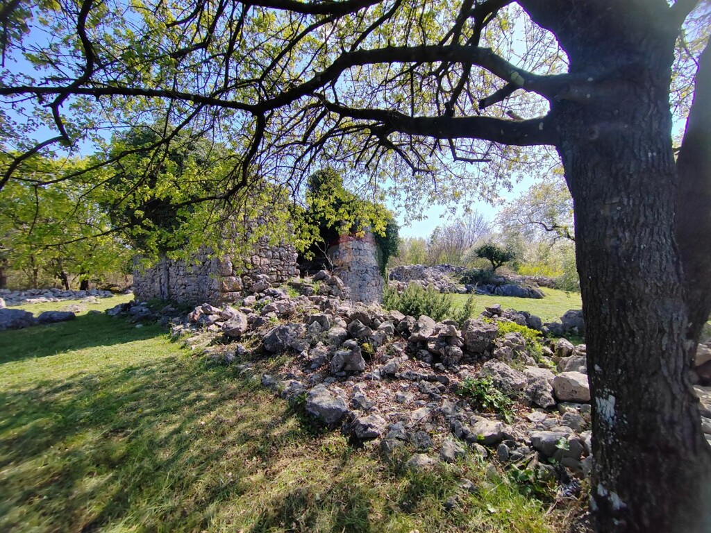 Image 6335153 - 5