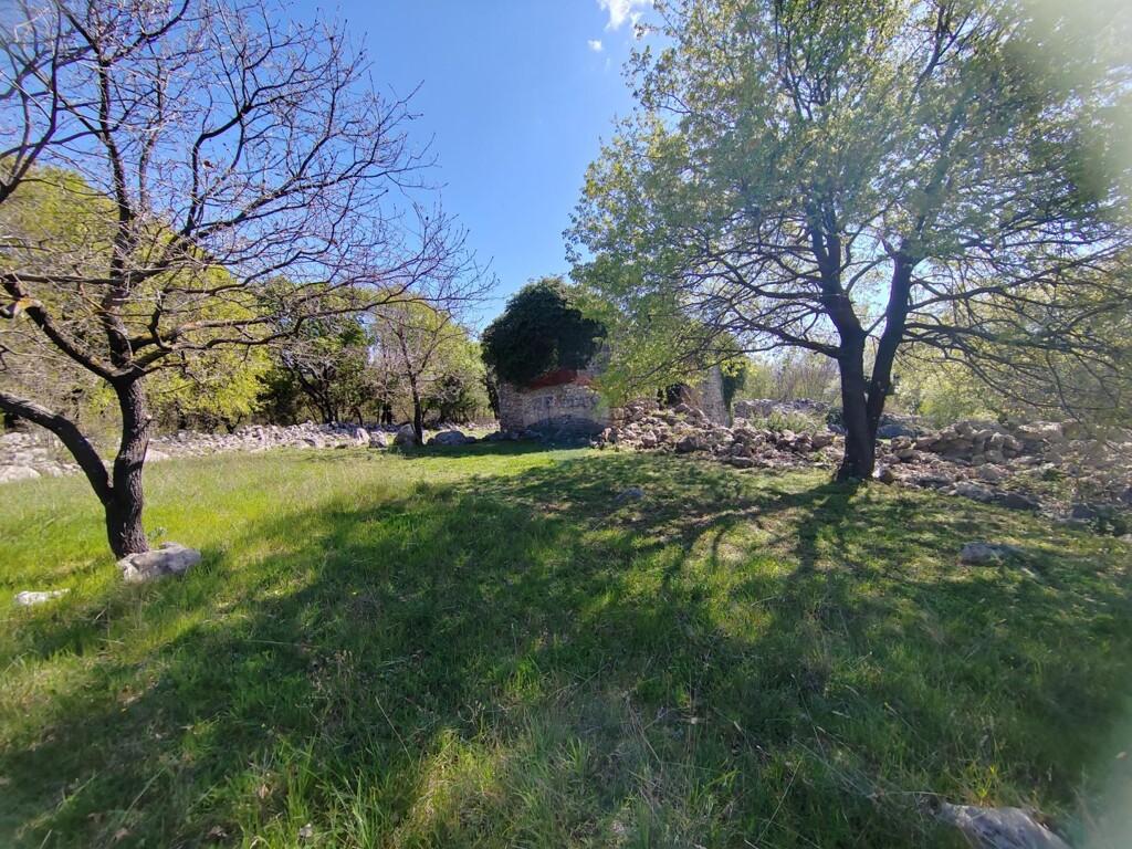 Image 6335153 - 6