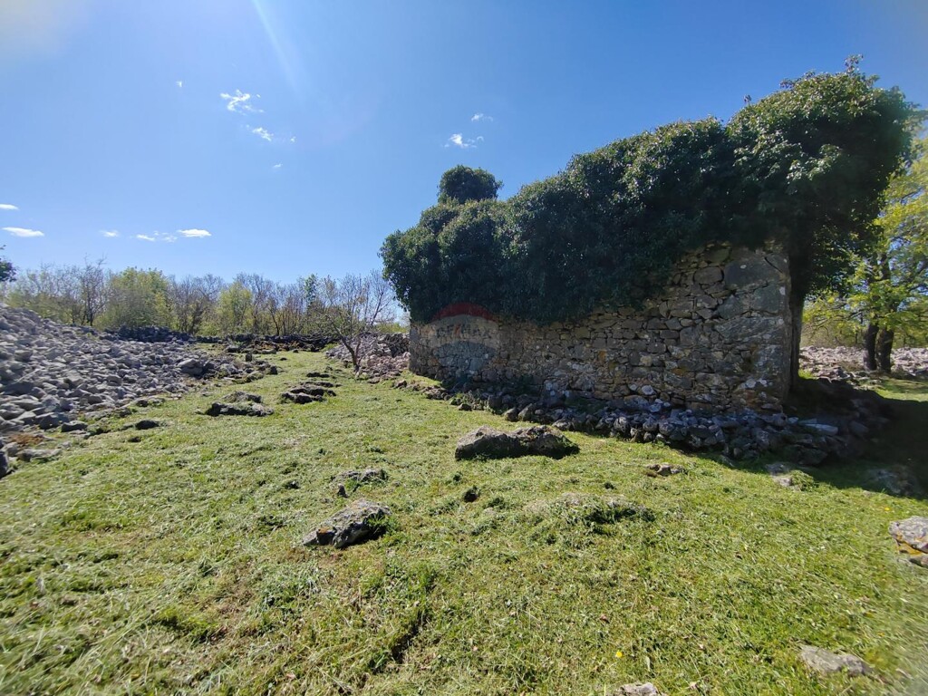 Image 6335153 - 3