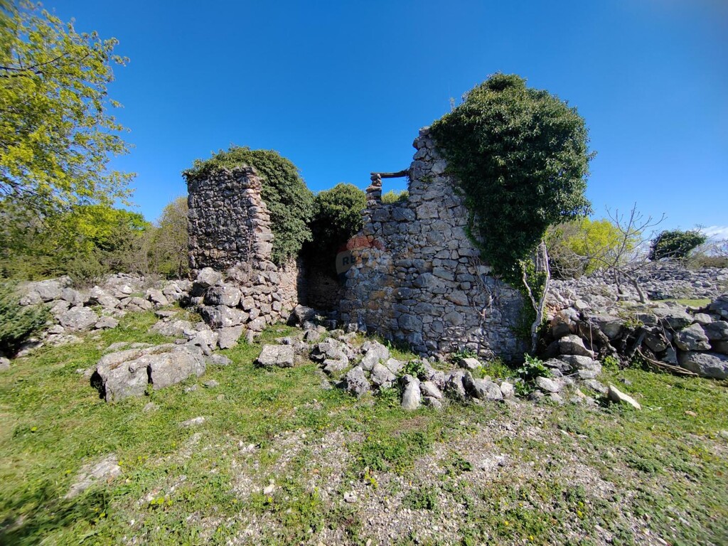 Image 6335153 - 7