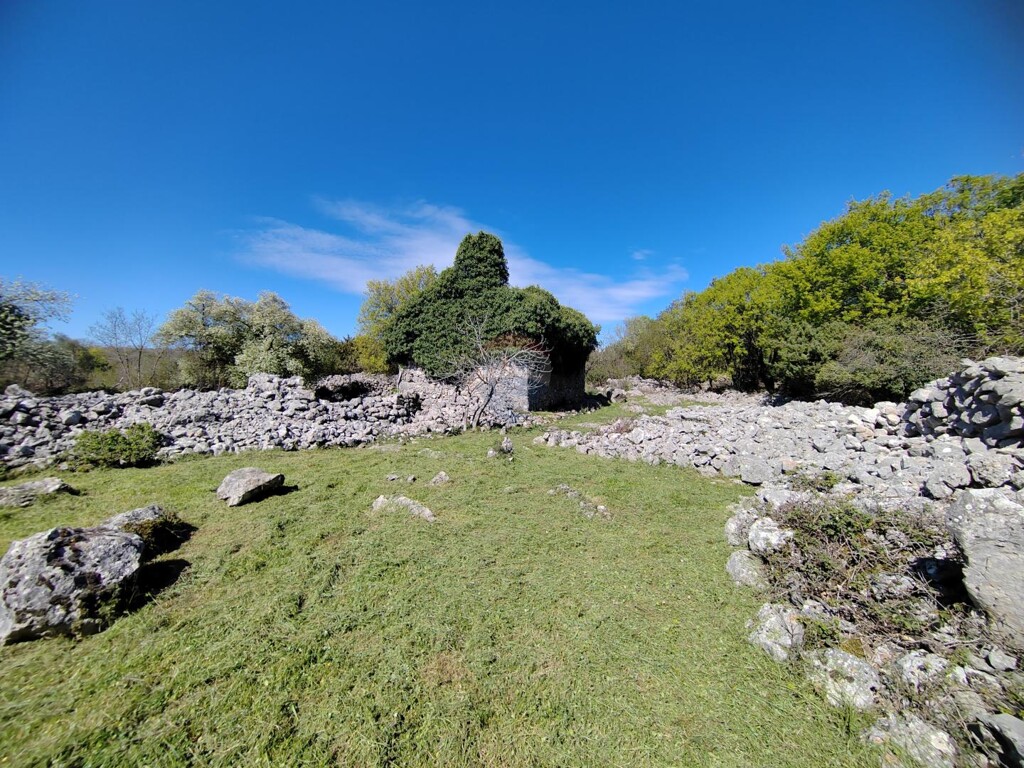 Image 6335153 - 1