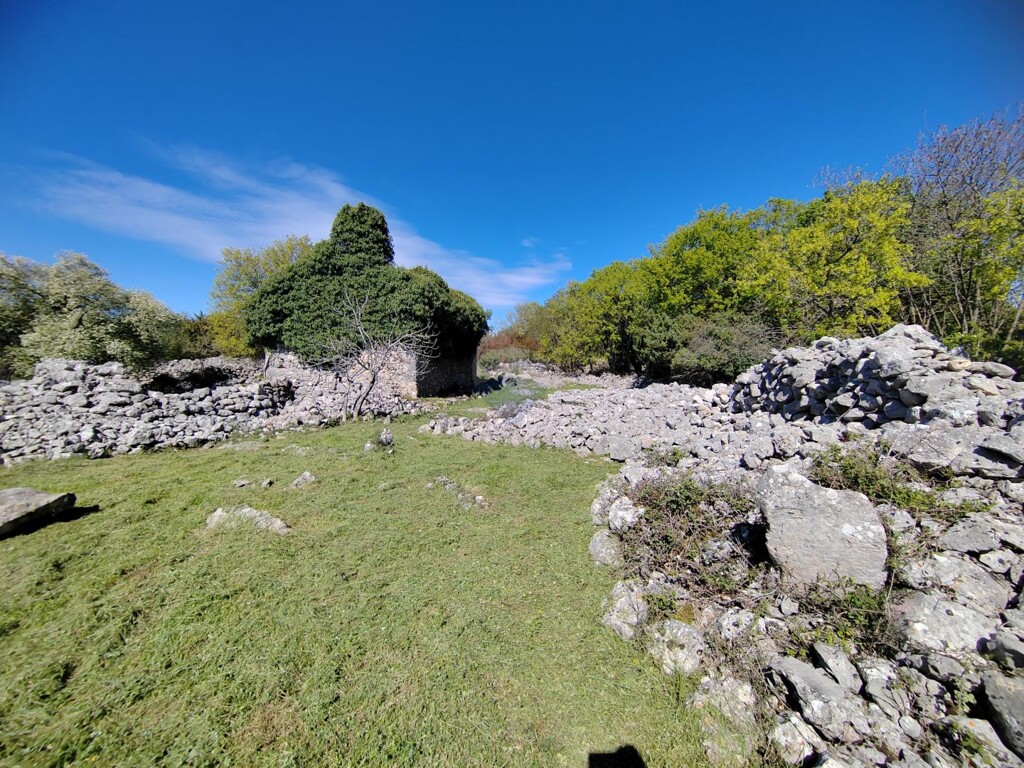 Image 6335153 - 2