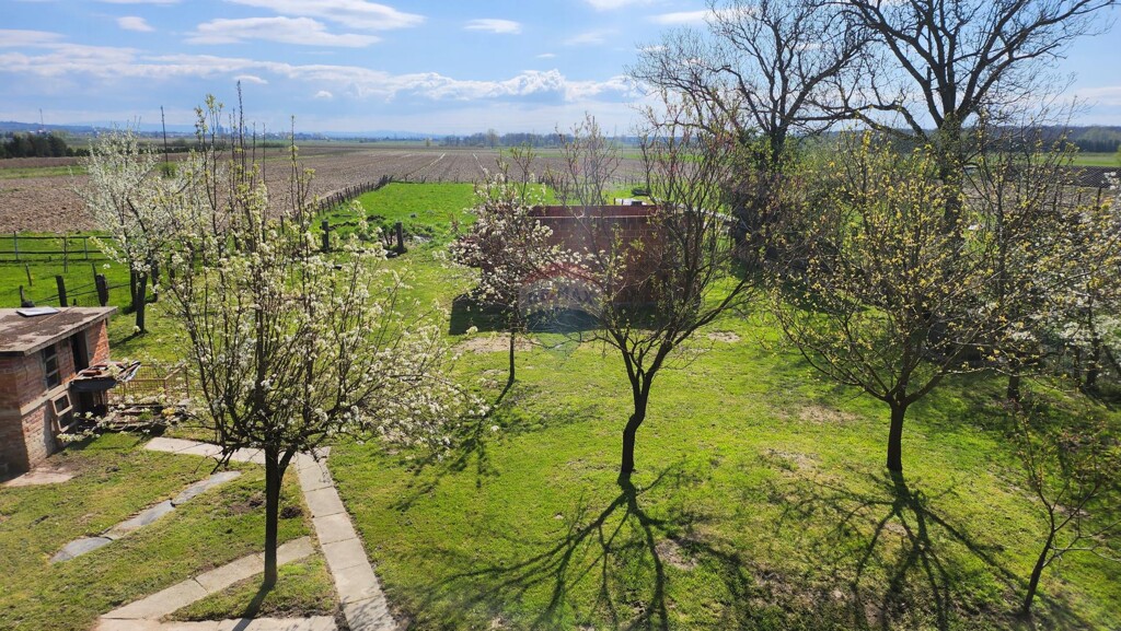 Image 6335156 - 13