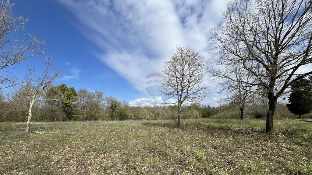 Image 6335164 - 4