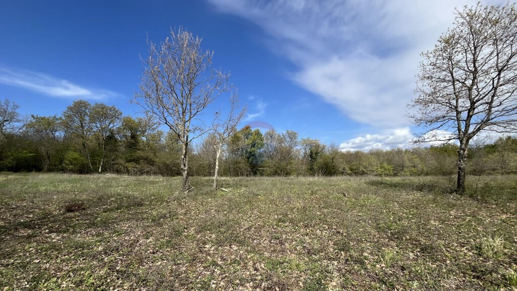 Image 6335164 - 5