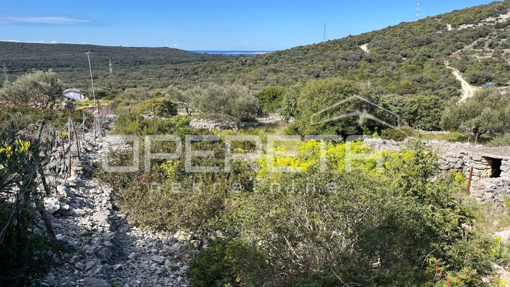 Image 6335417 - 4