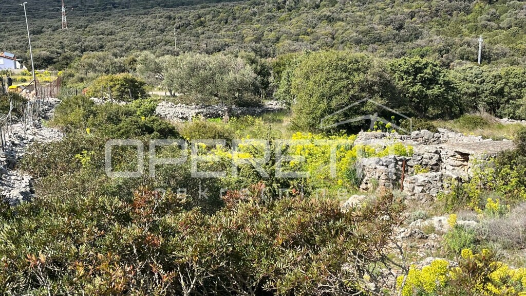 Image 6335417 - 7