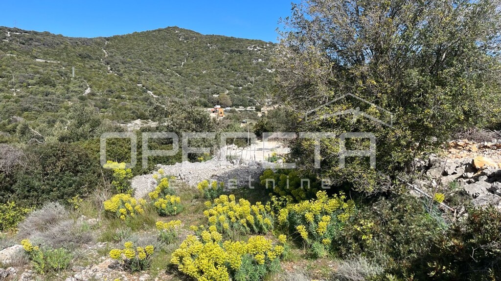 Image 6335417 - 3